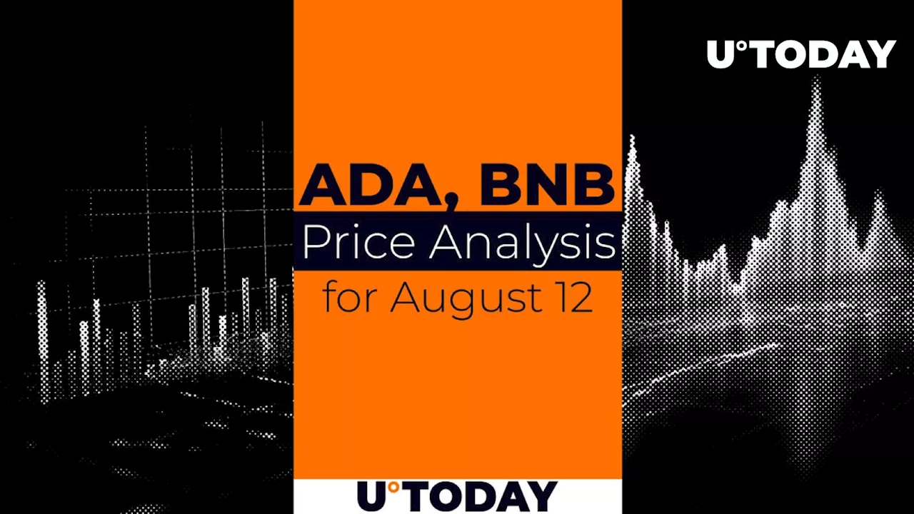 ADA and BNB Prediction for August 12