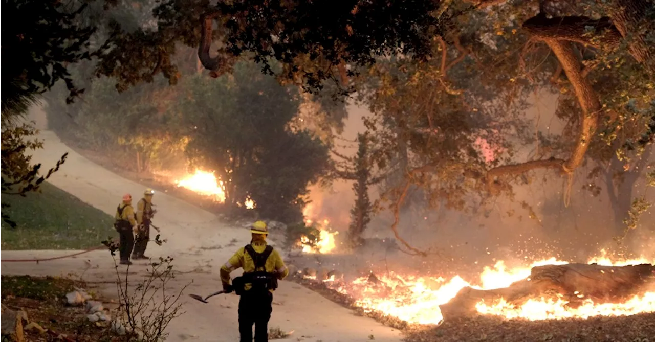 Fumaça de incêndios na Califórnia causou até 55 mil mortes em 11 anos, diz estudo