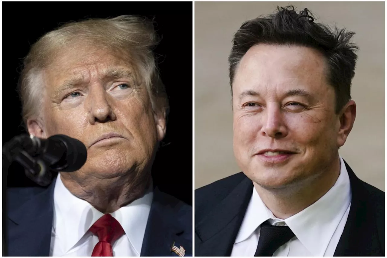 Elon Musk's Trump interview marred by technical glitches, Musk says its a malicious attack