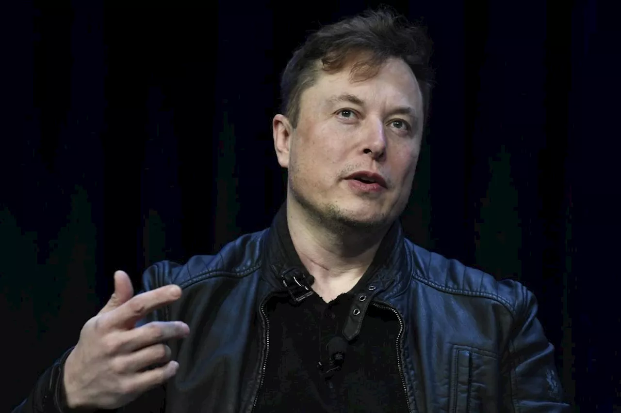 How X owner Elon Musk uses his 'free speech' platform to amplify his views worldwide