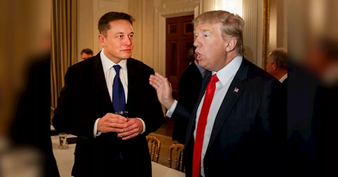 Donald Trump पर फिर हुआ अटैक! सन्न रह गए Elon Musk, जानिए क्या है DDoS attack