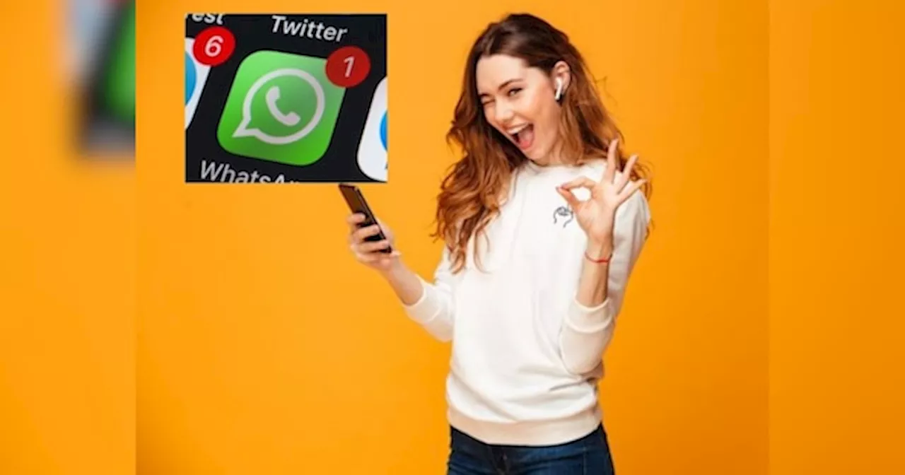 WhatsApp पर आ रहा नया फीचर, अब आसानी से मिलेगा आपकी पसंद का चैनल, जानें कैसे