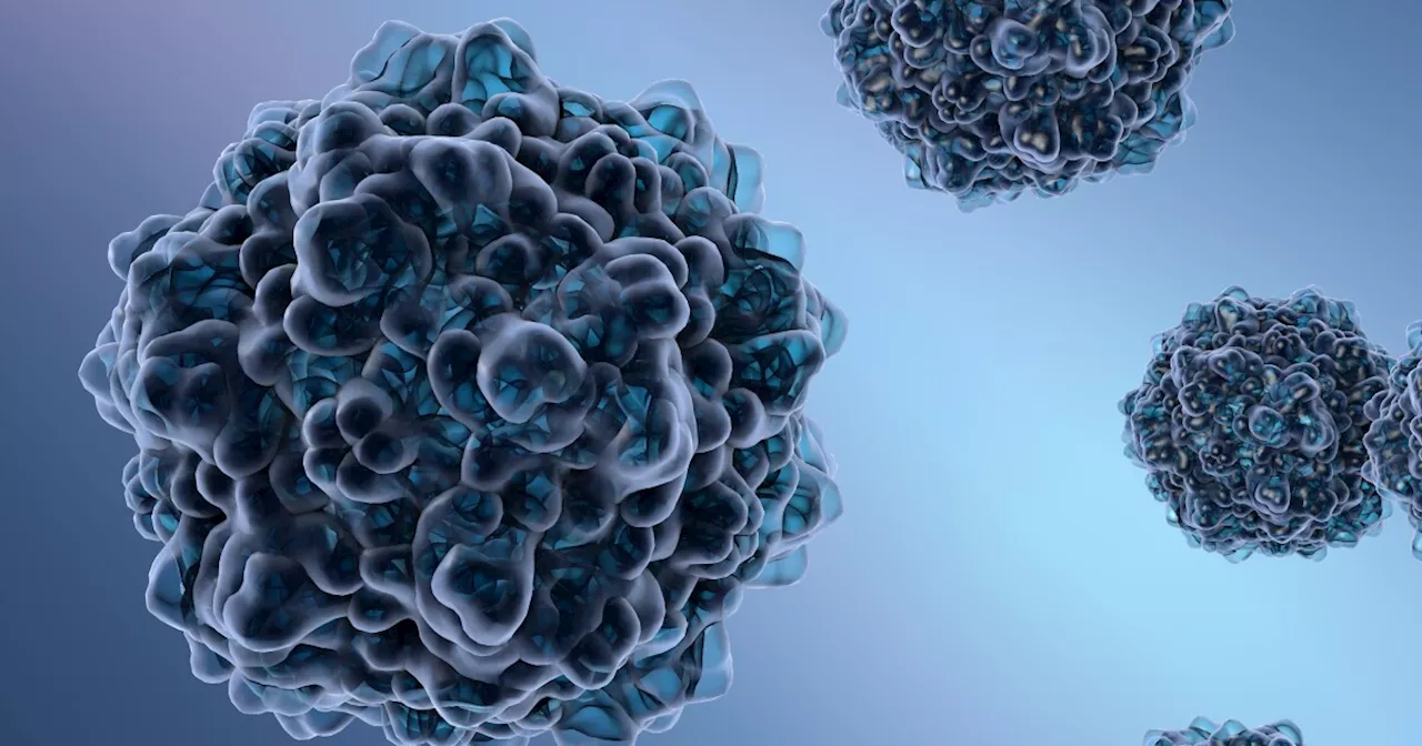 CDC warns cases of highly contagious parvovirus B19 are on the rise. What is it?