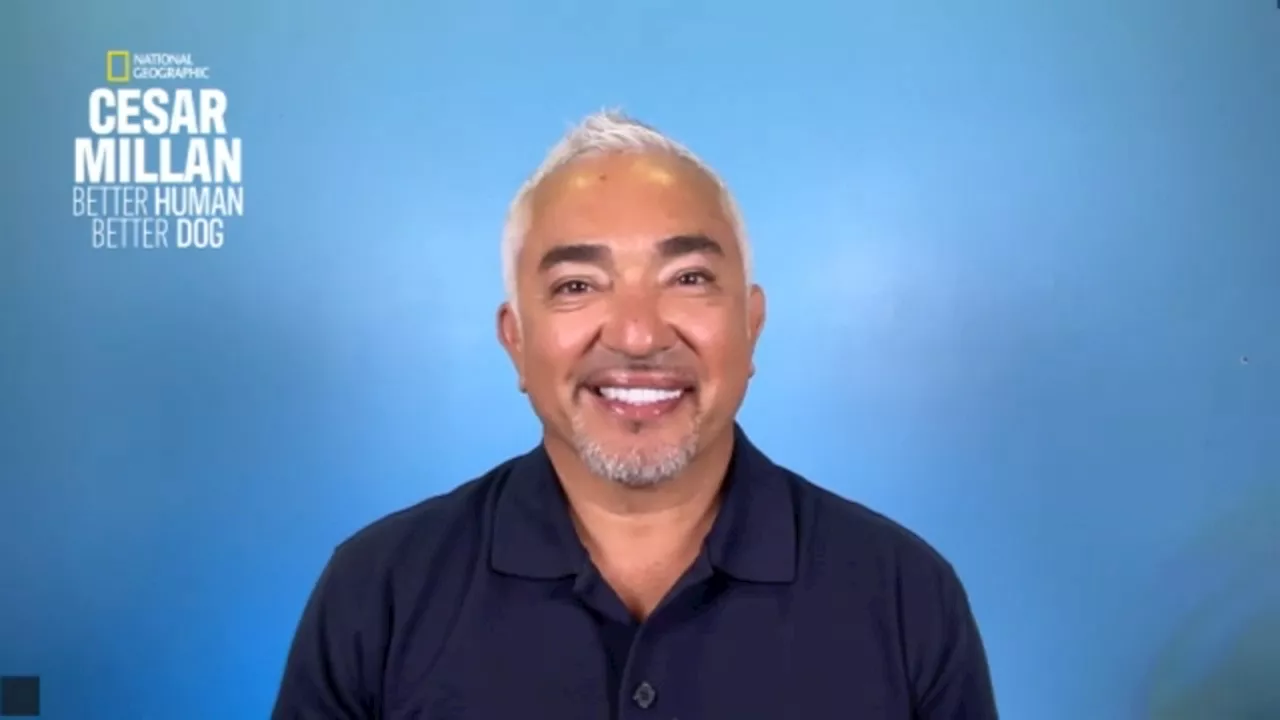 Cesar Millan educates dog owners in season 5 of 'Better Human Better Dog'