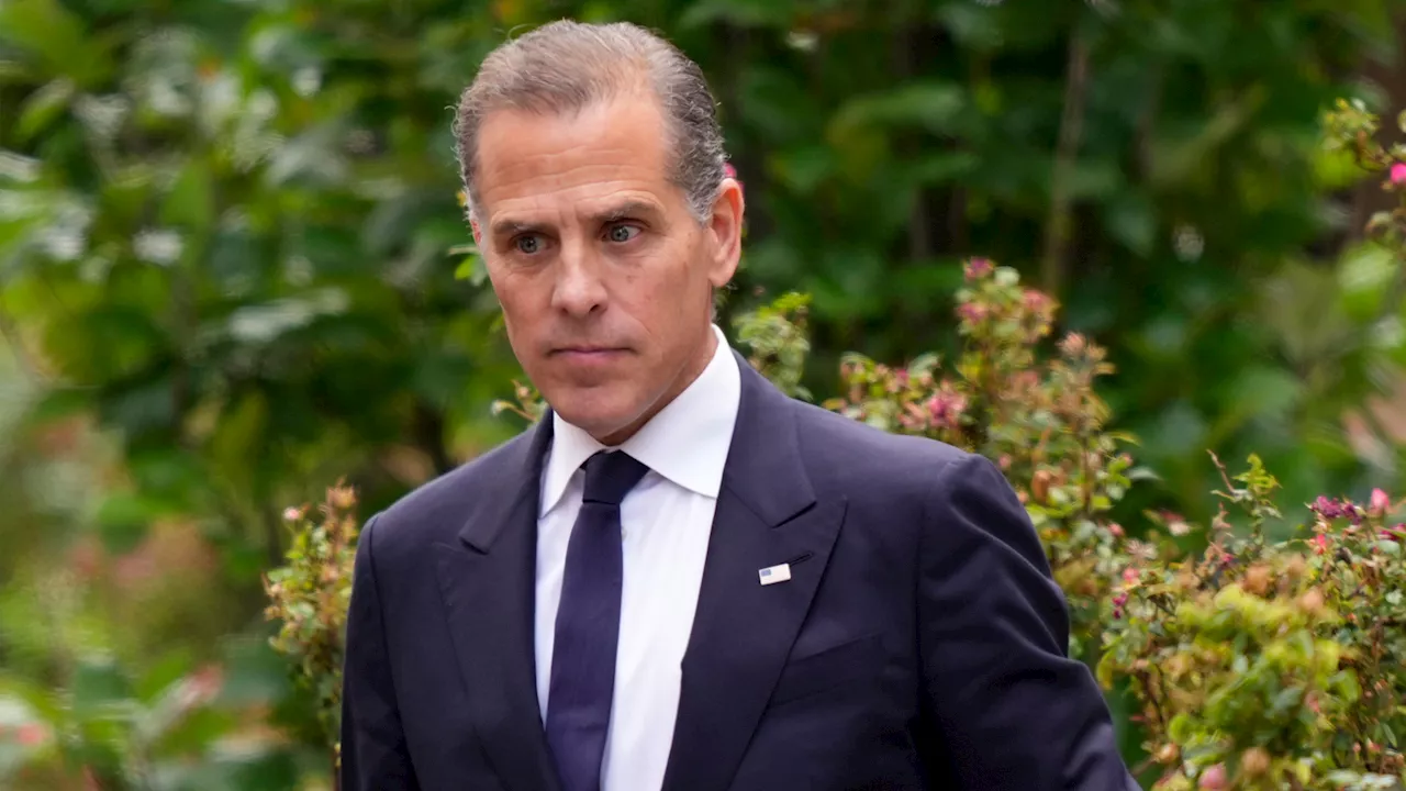 Hunter Biden sought help from US ambassador for Ukrainian company Burisma, lawyer confirms