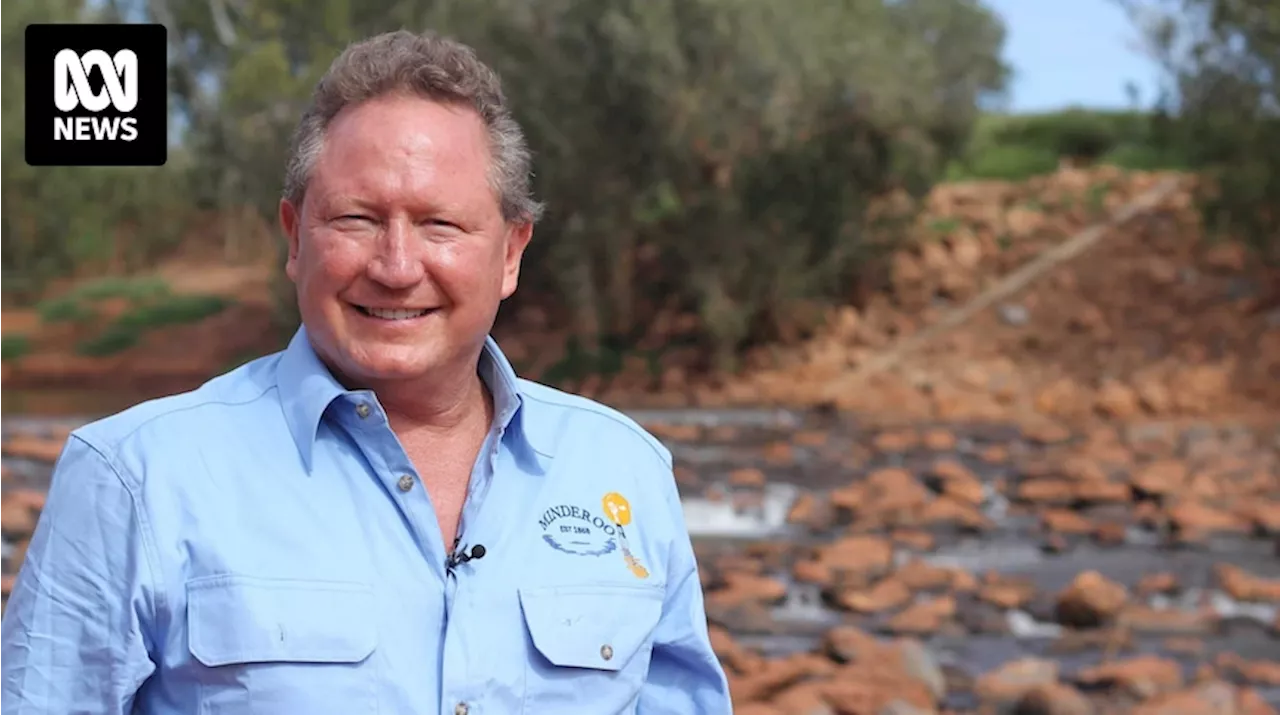 Andrew Forrest's legal win in Ashburton River irrigation push a 'sad letdown' for traditional owners