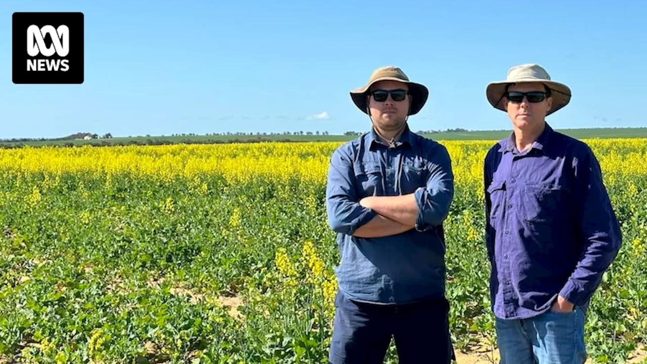 Mid West farming family feels ignored as plans for vanadium processing hub progress at Tenindewa