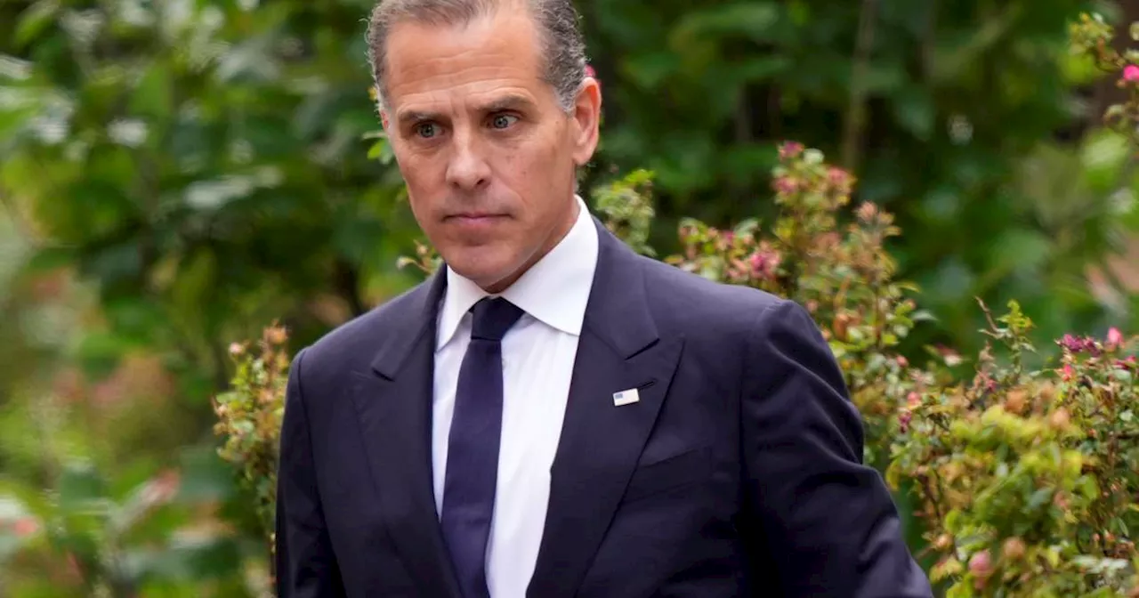 Hunter Biden reportedly sought US government help for Ukrainian gas company Burisma