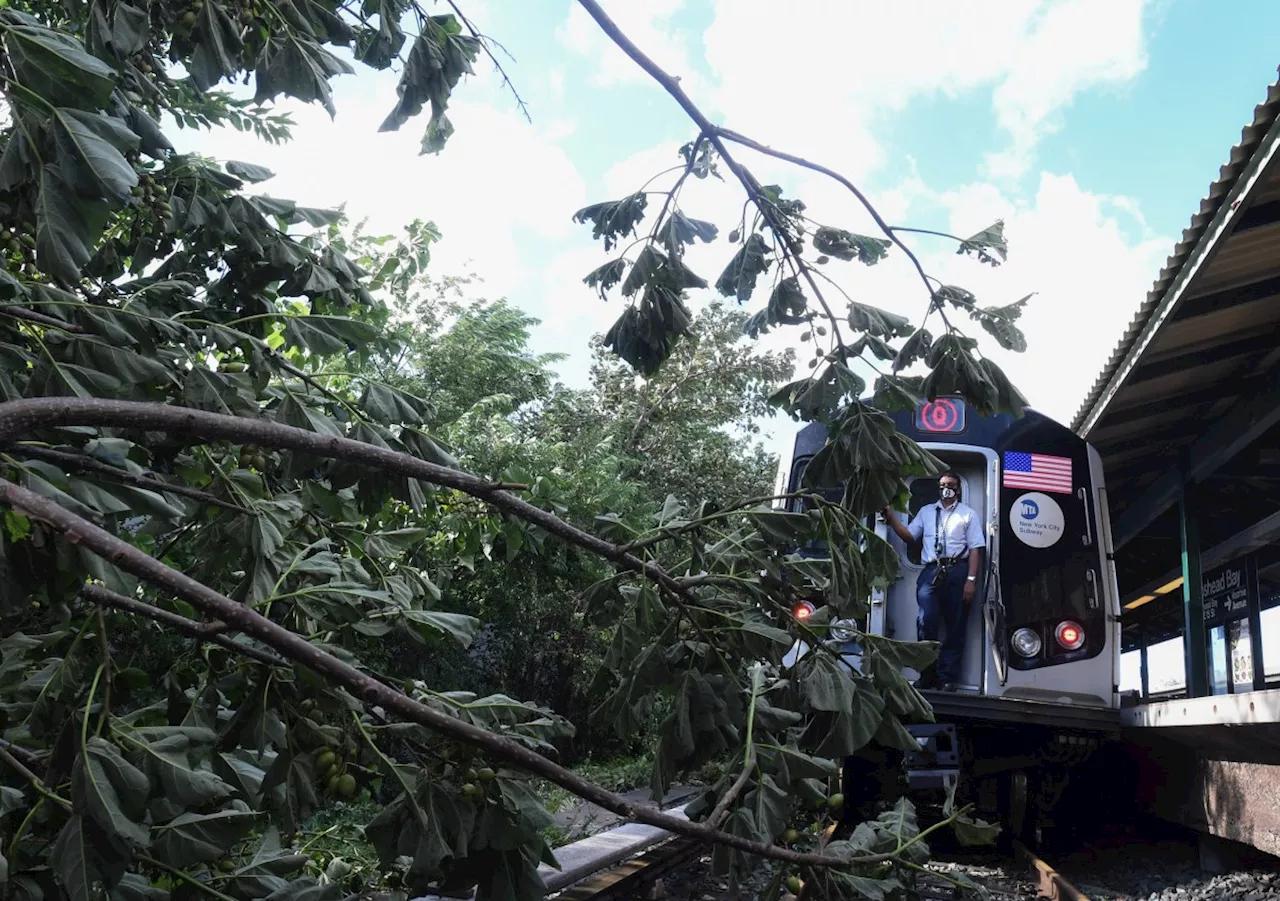 Delays bewilder B, Q line commuters in Brooklyn after subway train strikes tree branch