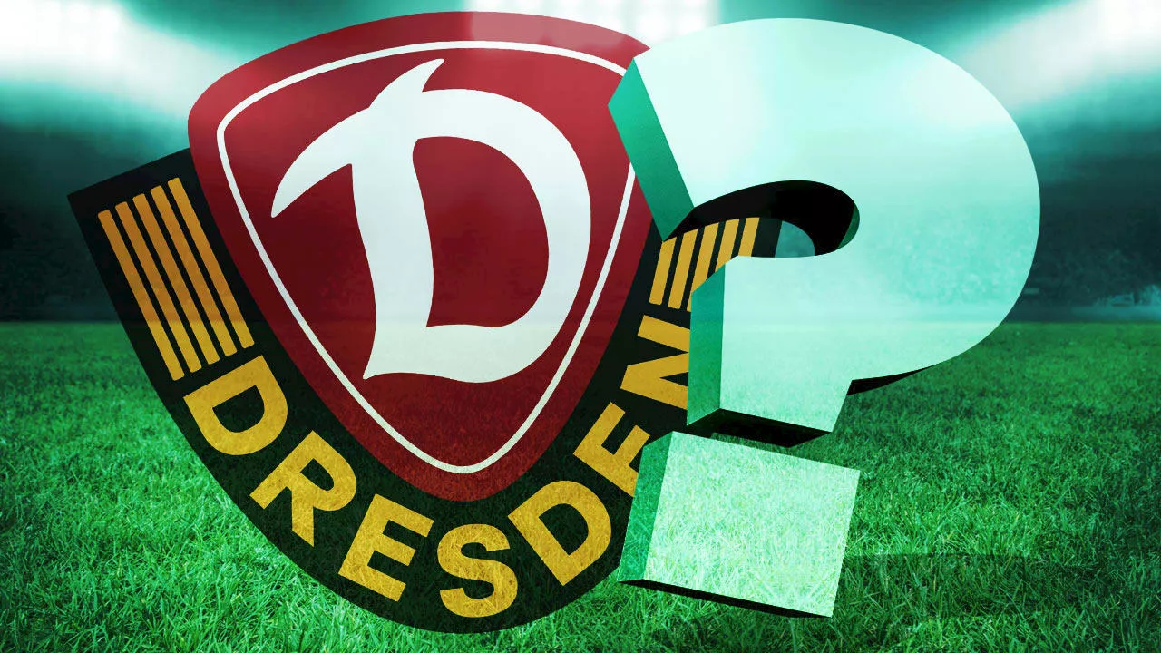 Suche nach Verstärkung: Dynamo Dresden hat Kontakt zu diesem Zweitliga-Profi