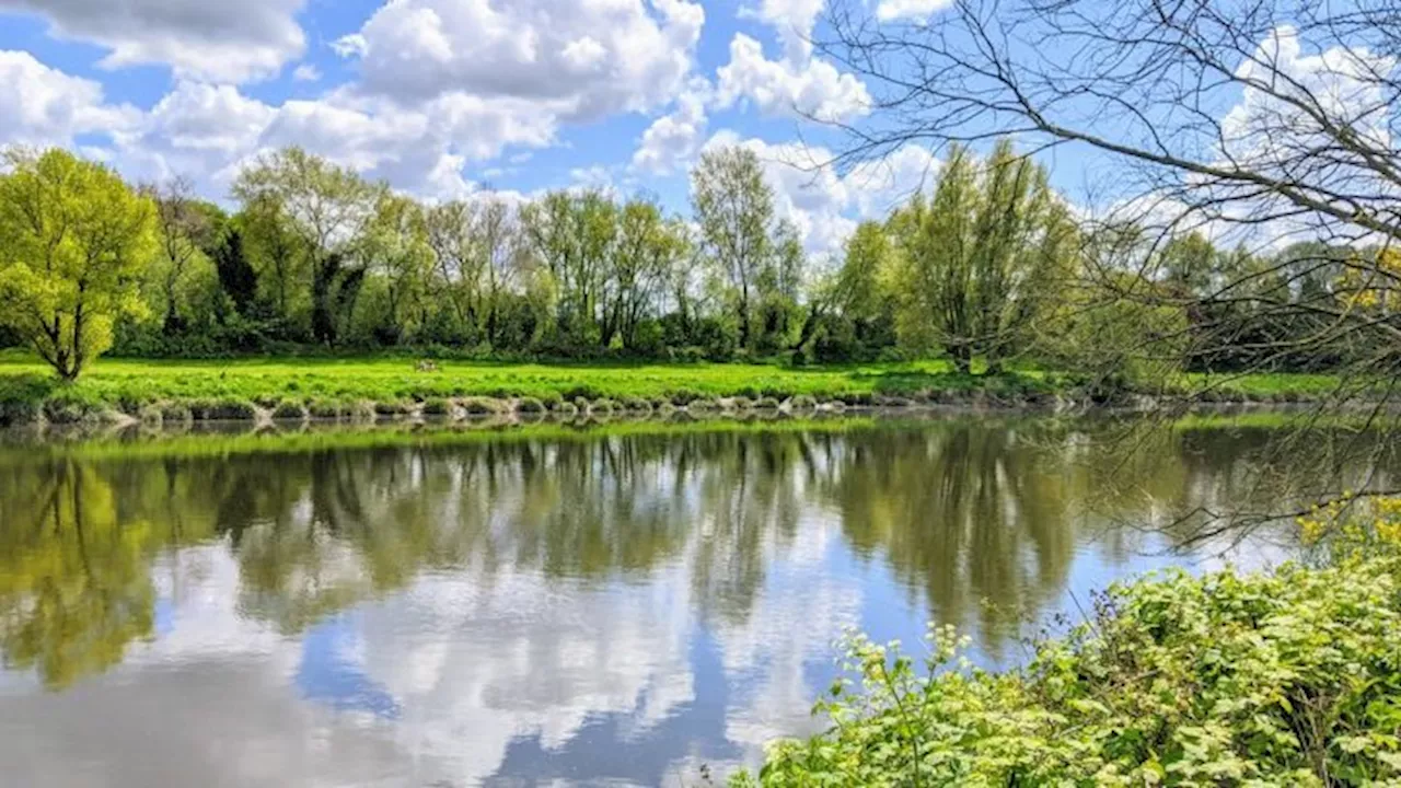 New mini wetland to be created on banks of River Ribble at Penwortham