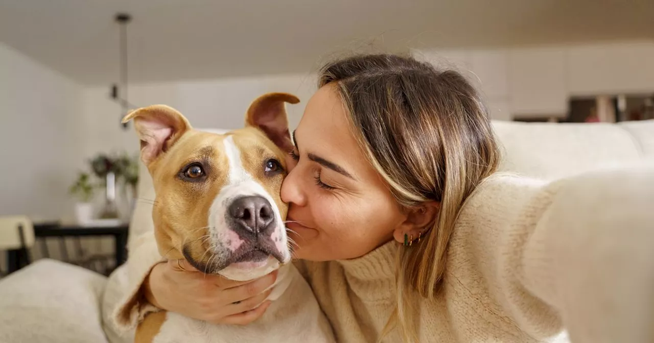 Tieriesche Freundschaft: Welches Haustier passt zu meinem Sternzeichen?