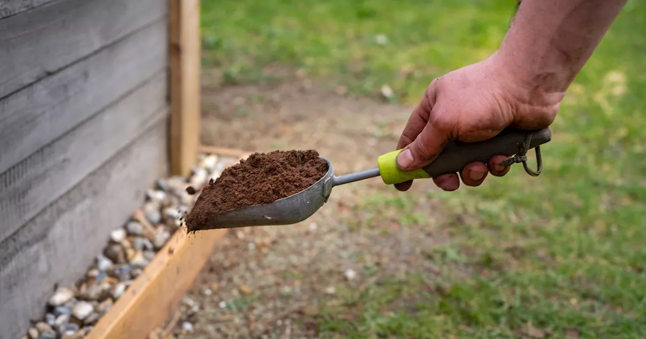 Überall Moos im Garten: Günstiges Hausmittel hilft sofort