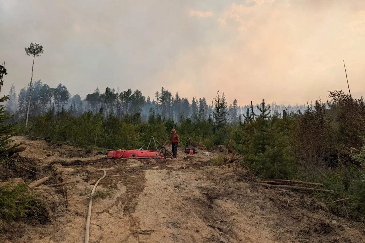 Focus on recovery after fire's 'heartbreaking' destruction: mayor of Slocan, B.C.