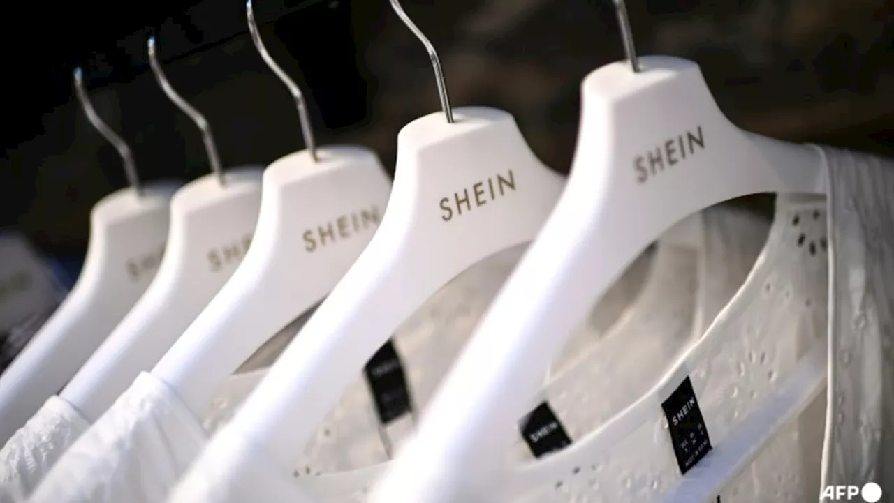 Seoul authorities find toxic substances in Shein and Temu products