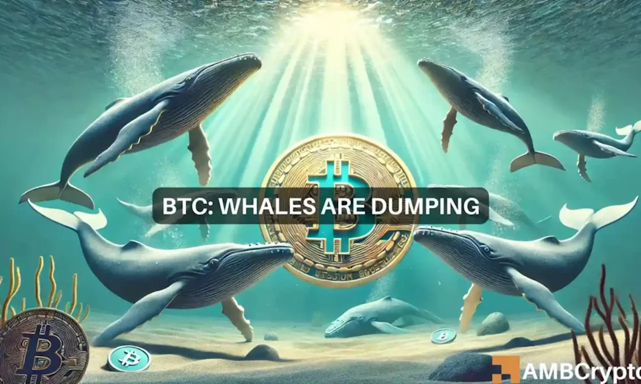 As Bitcoin rallies, whales start selling and that means…