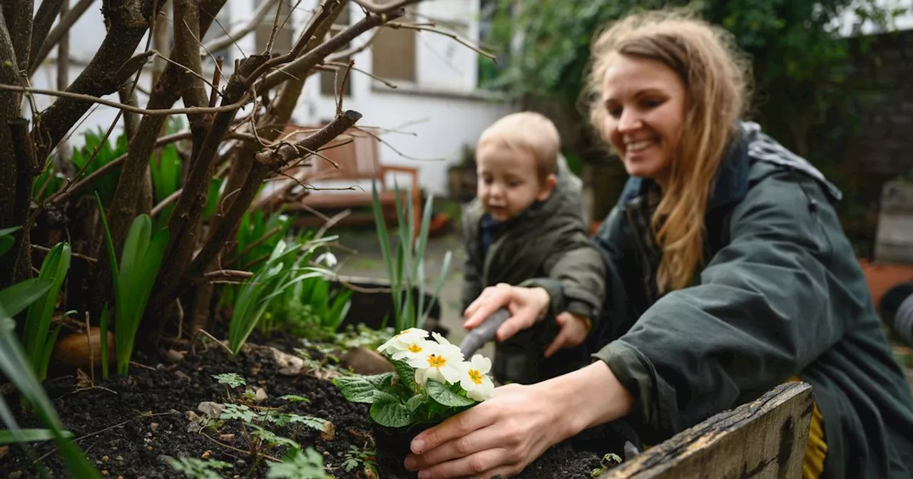 Homeowners can save up to £150 from garden expert's hack that ditches one thing