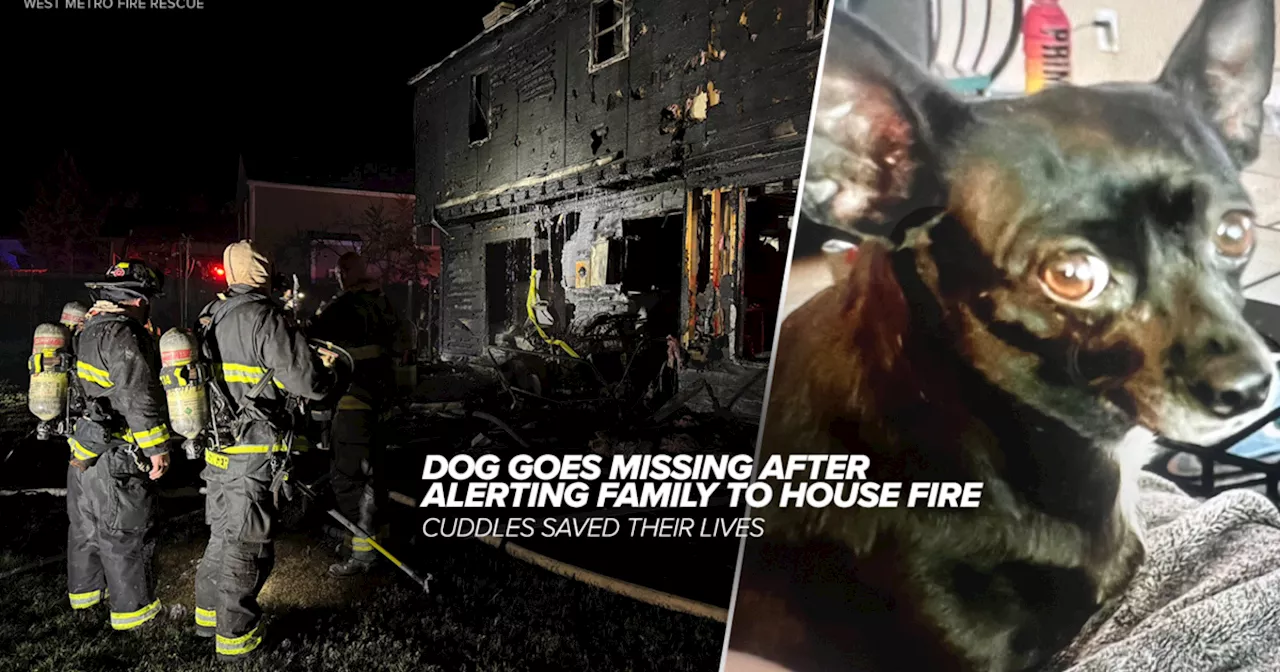 Dog who alerted family of house fire Wednesday morning now missing, West Metro Fire Rescue says