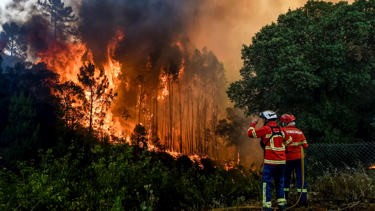 País tem o menor número de fogos e área ardida desde 2014