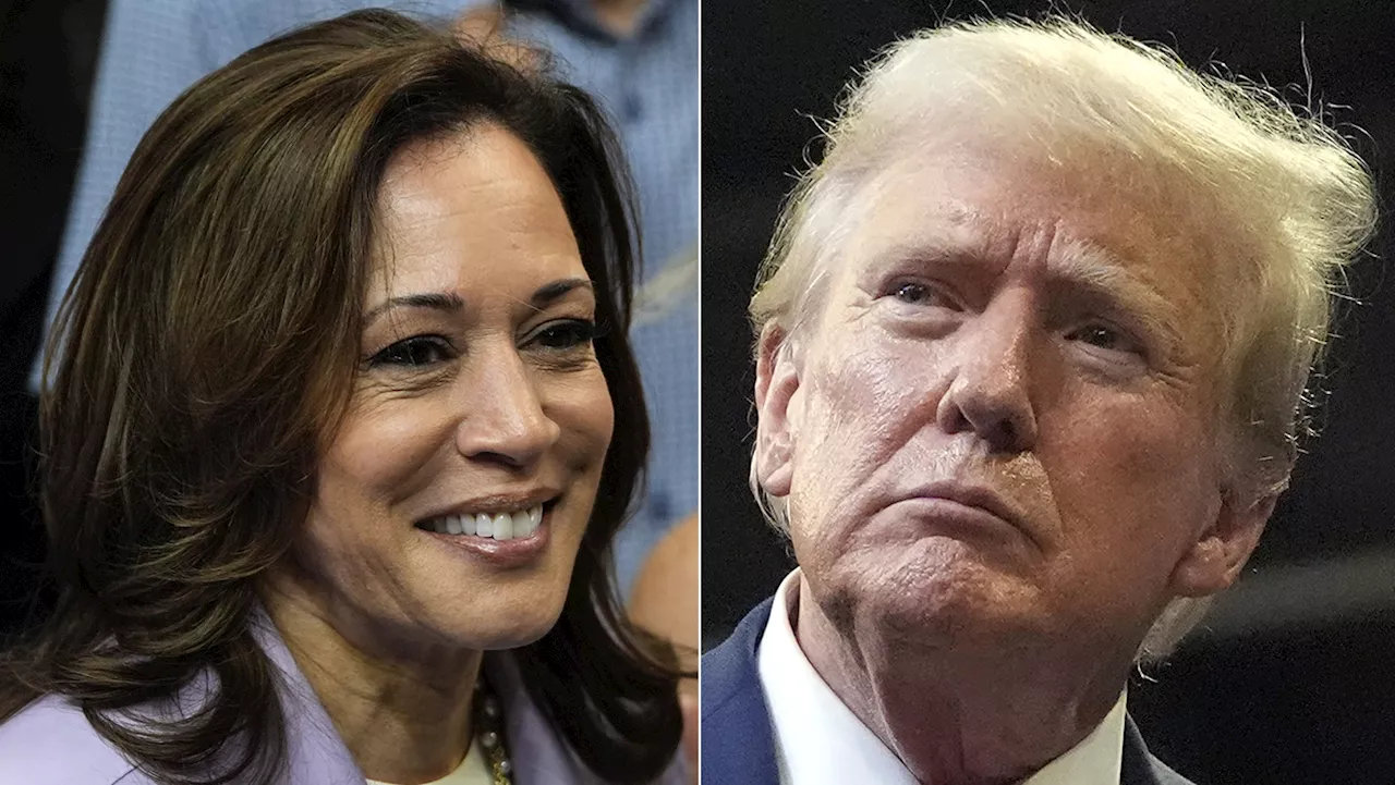 Americans view Harris as more honest than Trump, but trust her less on economy, immigration: poll