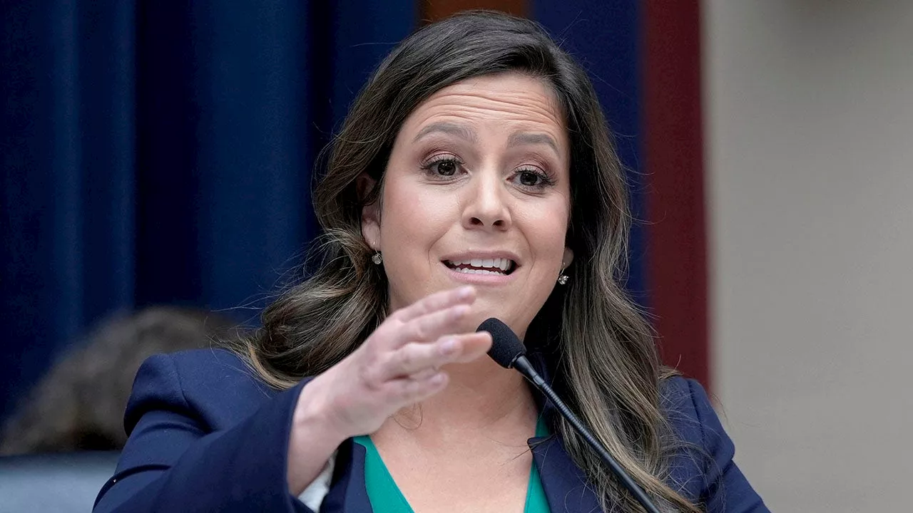 'Putting down a rabid dog': Stefanik demands NY official resign over Trump shooting remark