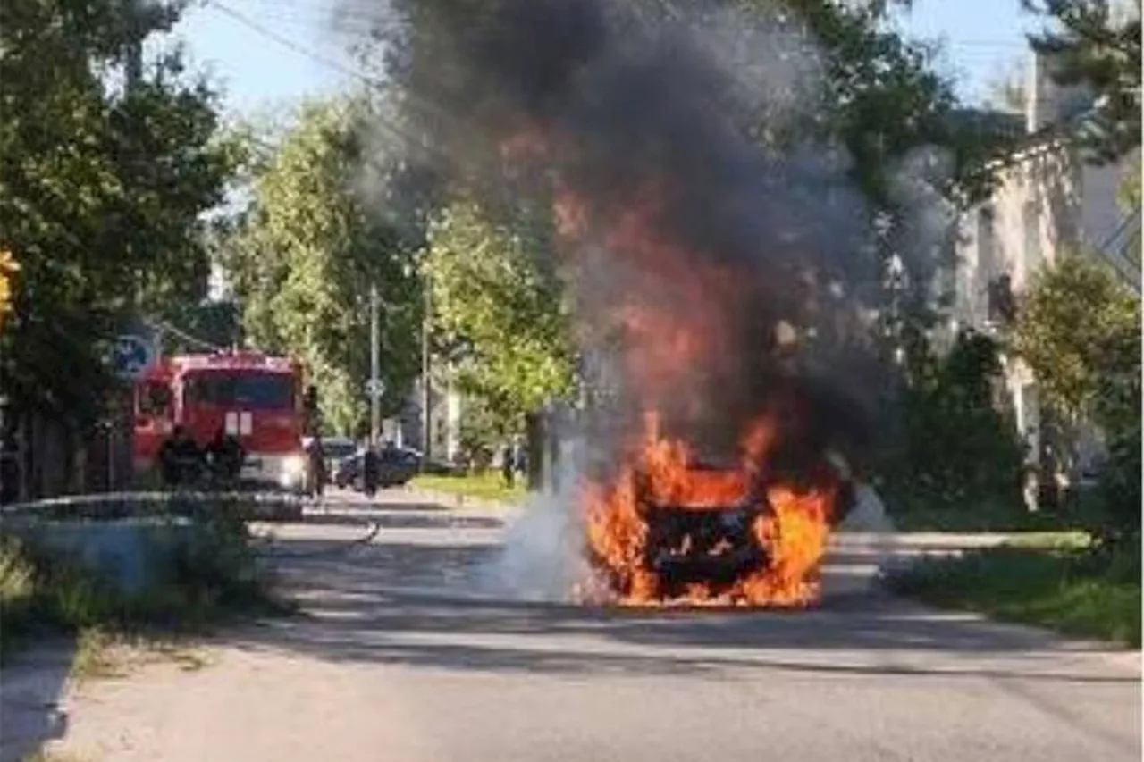 Газовый баллон взорвался прямо перед лицом женщины в Ленобласти