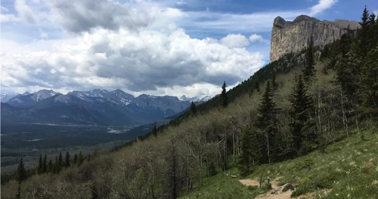 Hiker reported missing in Kananaskis Country found dead