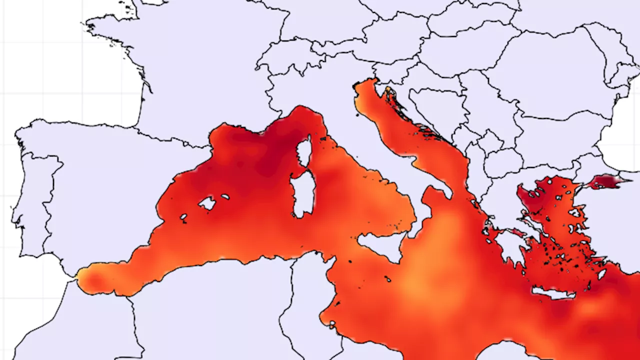 Klimawandel schlägt voll zu - Wassertemperatur des Mittelmeers steigt auf Rekord-Hoch