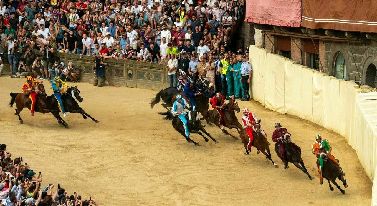 Palio di Siena, febbre da cavallo: tutti i segreti (business compreso) per la sfida più iconica d'Italia