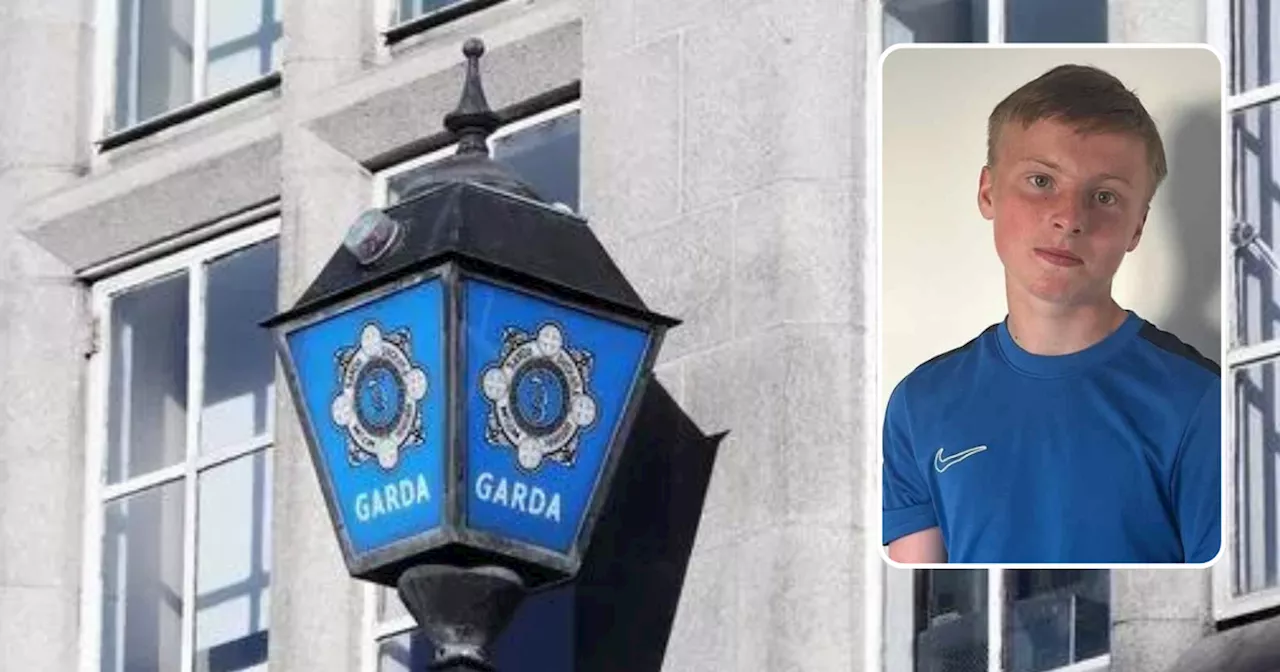 Gardai 'concerned' for welfare of missing Laois teen who may be in Dublin