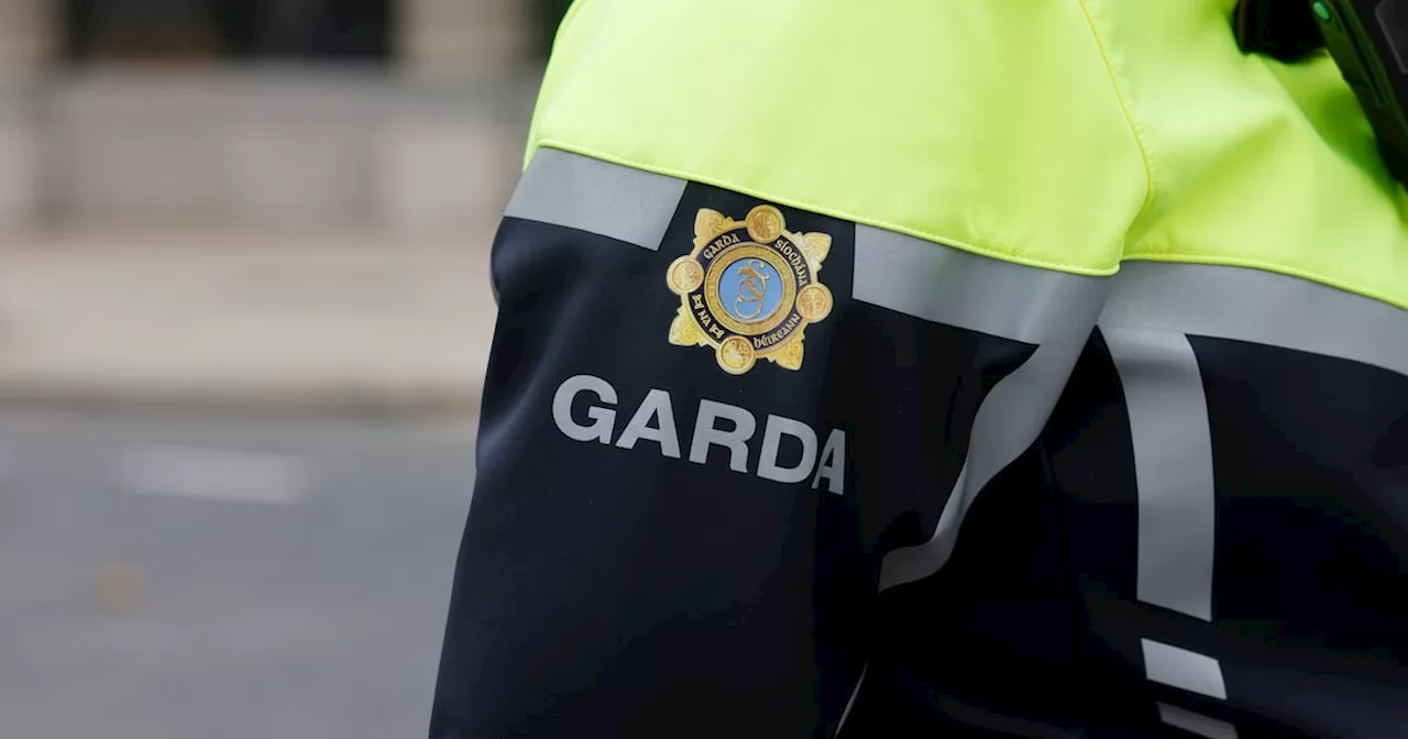 Garda assigned to protect Cabinet member allegedly left gun in Ted Baker changing room