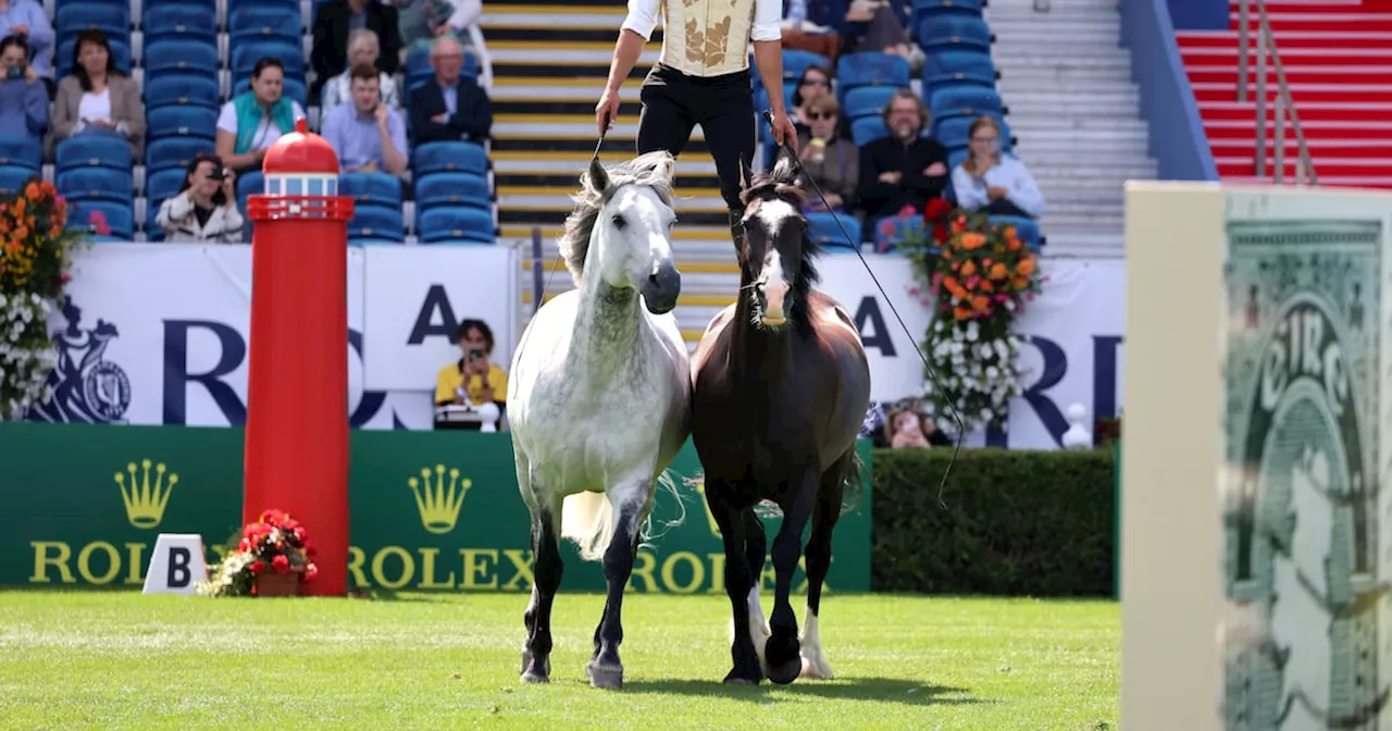 ‘Horses are our lives’: Equine enthusiasts descend on RDS for 149th Dublin Horse Show