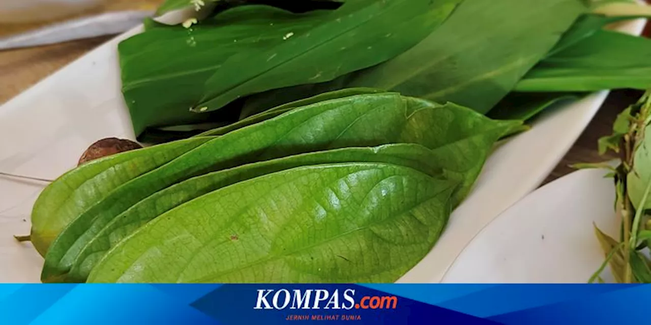 3 Daun Penyedap Masakan dari Hutan Kalimantan, Ada Daun Empangau