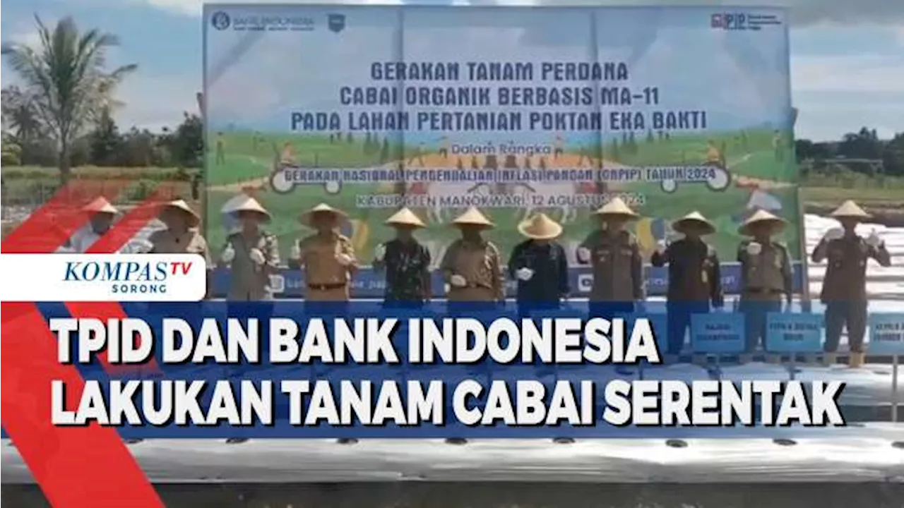 Bank Indonesia Dorong Peningkatan Hasil Panen Petani Manokwari Cegah Inflasi