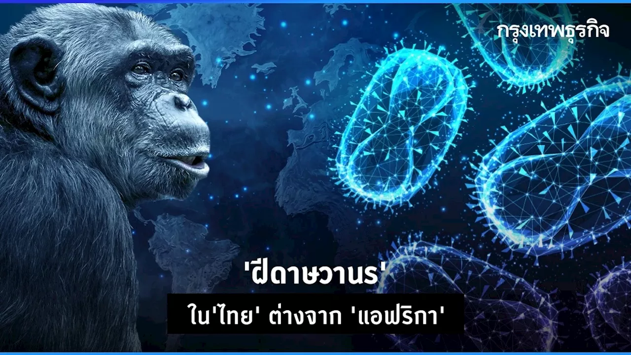 กรมควบคุมโรคระบุ 'ฝีดาษวานร' ในไทยต่างจากที่แอฟริกา