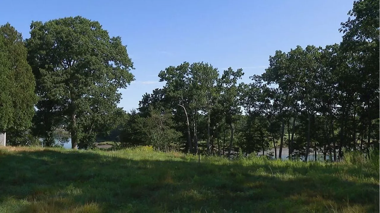 'They're negligent': Maine land put up for sale without owners' knowledge