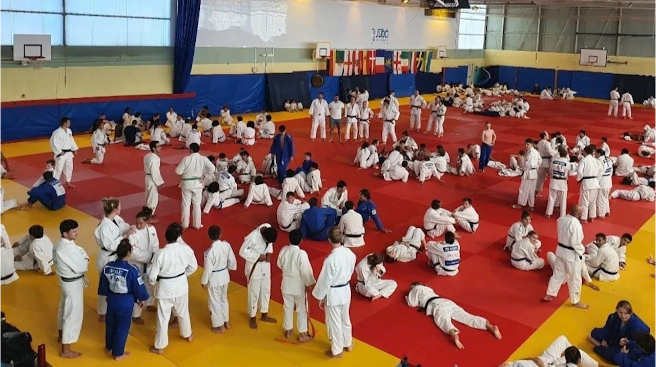 Le Judo club de Villeneuve-lez-Avignon reçoit le label argent de la Fédération française