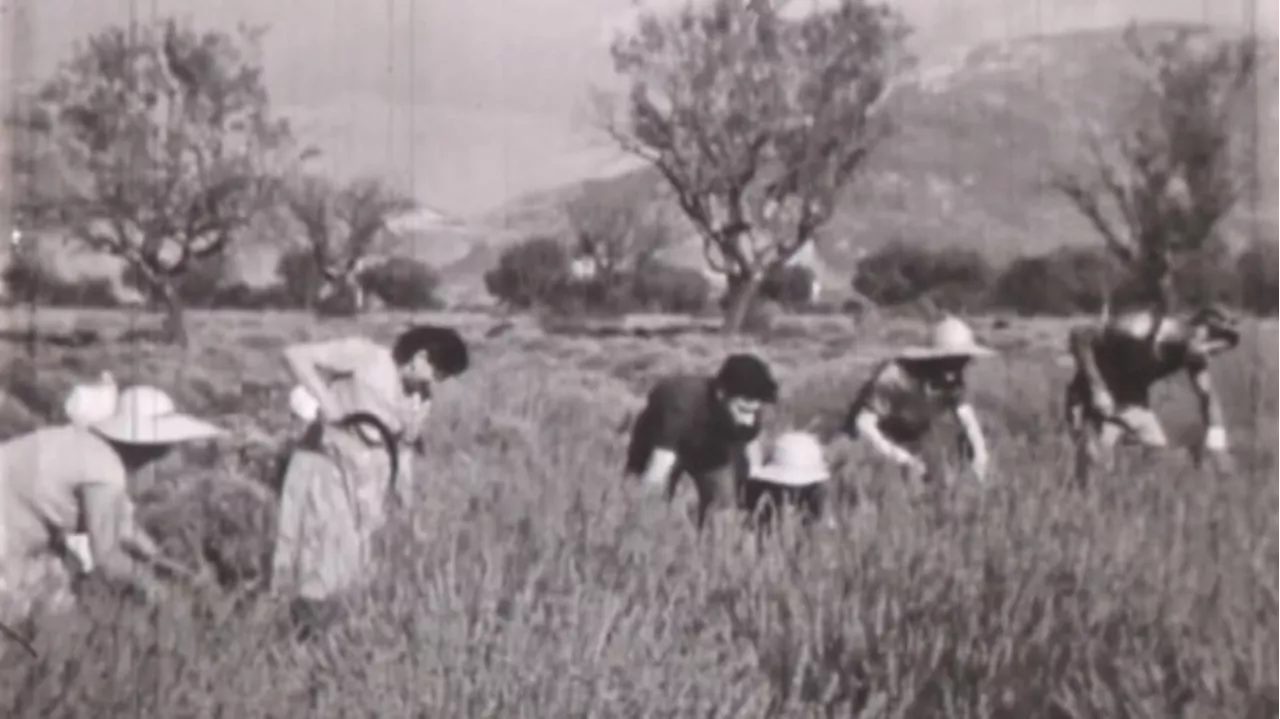 Plongée dans la vie d'un paysan-cinéaste des 'fifties' grrâce à l'association dignoise 'Contraste'