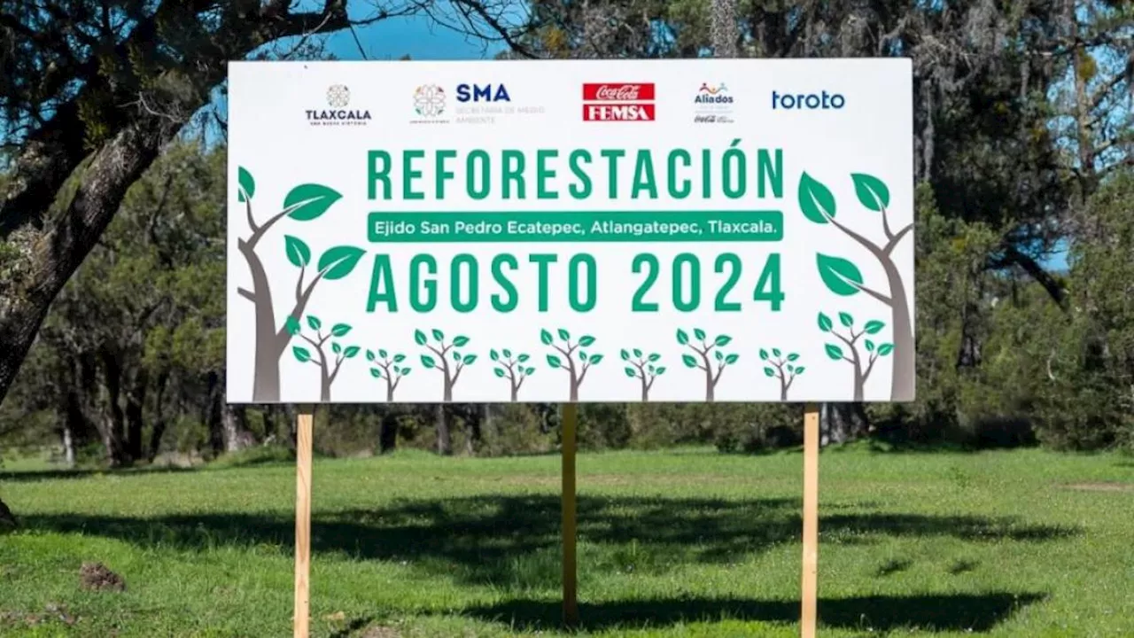 Autoridades, empresas y comunidad se suman a acciones de reforestación en Tlaxcala