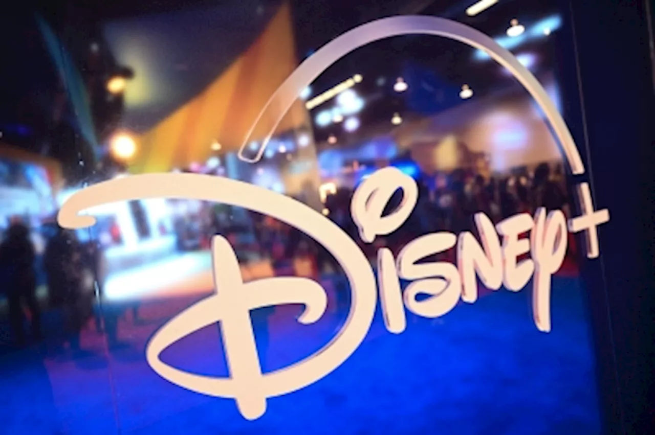 Disney seeks to dismiss New York doctor’s allergy death suit using Disney+ subscription terms