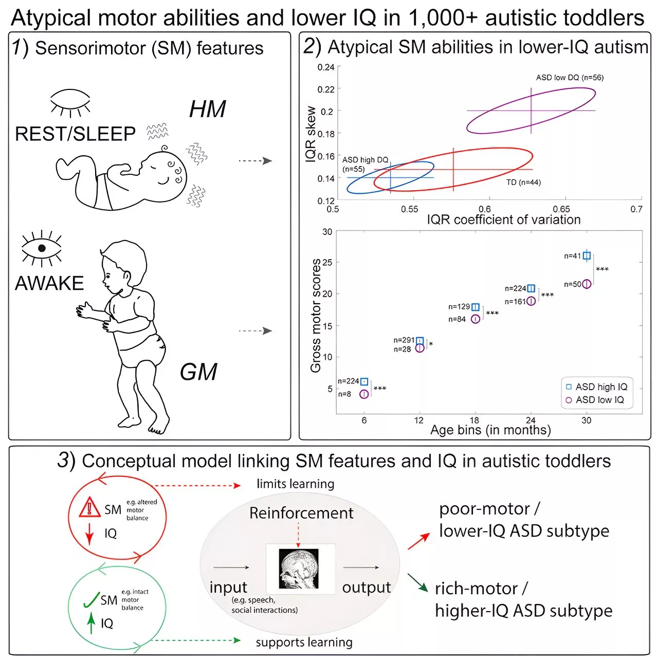 New research identifies early sensorimotor markers for autism spectrum disorder