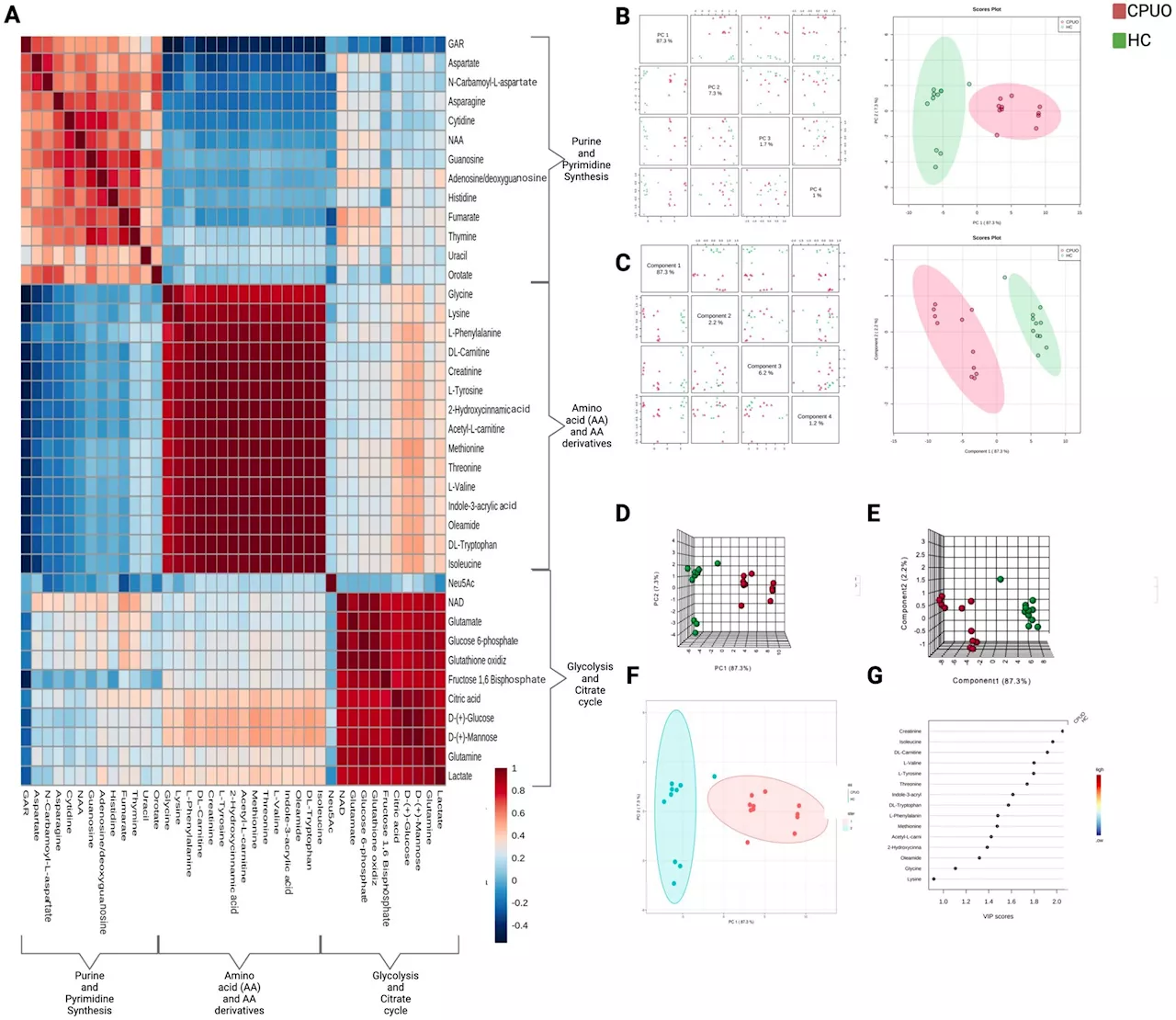Unexplainable chronic itch shows unique blood biomarkers that could eventually lead to new targeted treatments