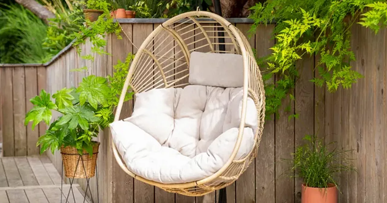 Dunelm fans hail hanging egg chair in the sale 'better' than garden centres'