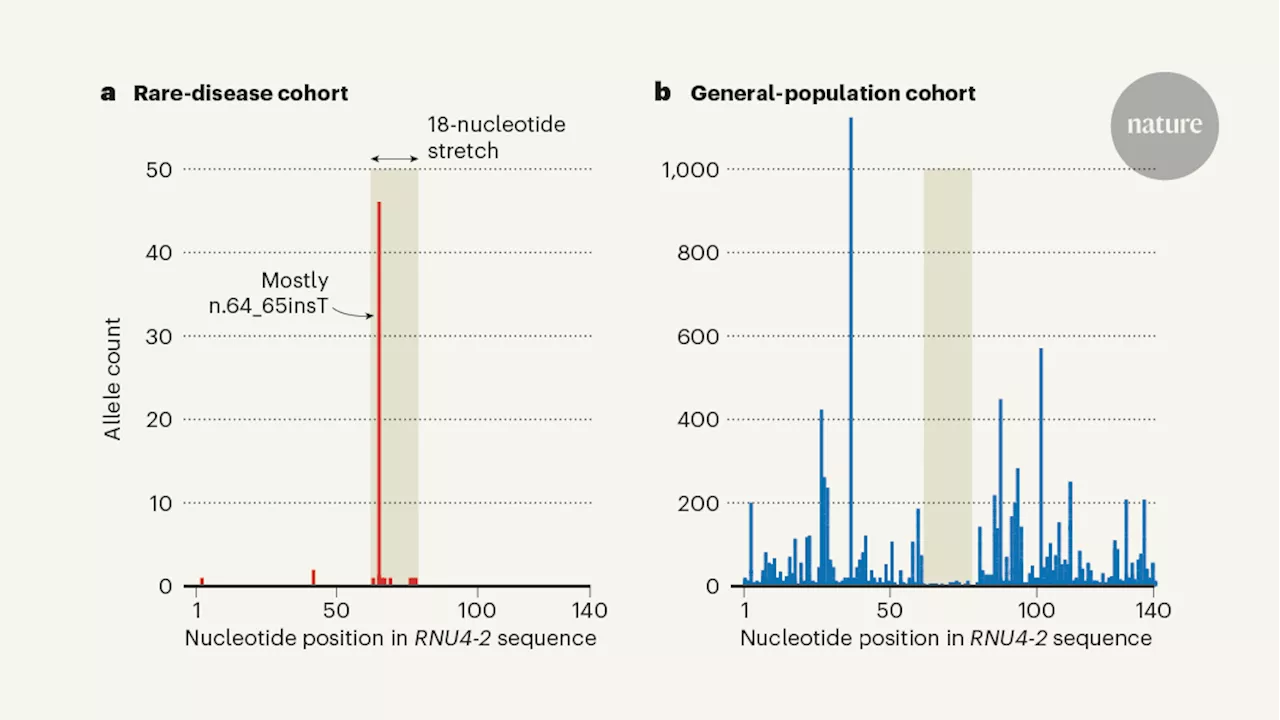 Rare developmental disorder caused by variants in a small RNA gene