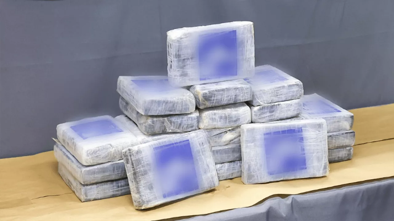 Barnacle-covered package of $625K worth of cocaine found floating in Gulf of Mexico