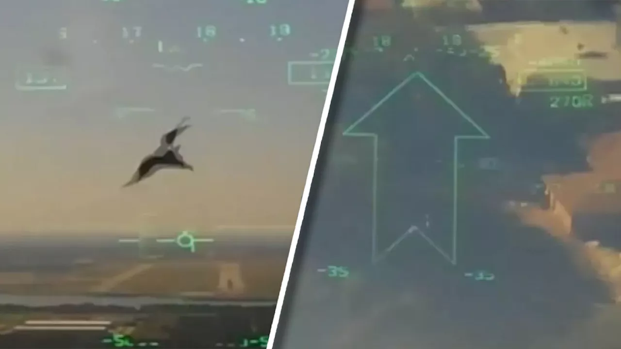 Cockpit Video Shows Military Jet Striking Bird Before Crashing in Lake Worth Last Year