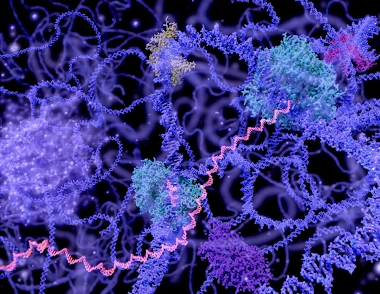 Study reveals how chromatin structure influences social behavior in dogs