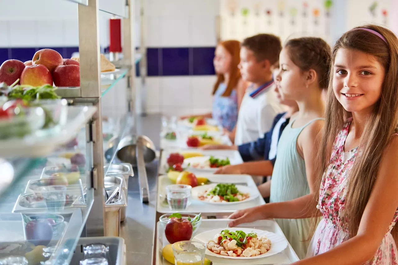 Universal free school meals improve student health and participation