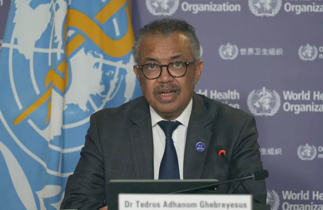 WHO declares Mpox outbreak in Africa a 'global emergency'