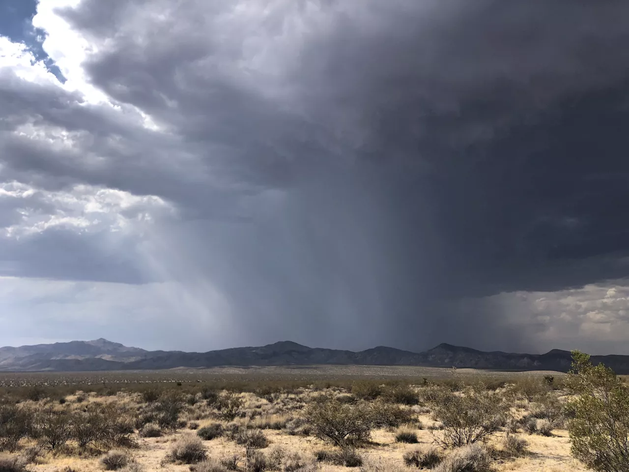 Desert City Receives Nearly Month's Worth of Rain in 20 Minutes